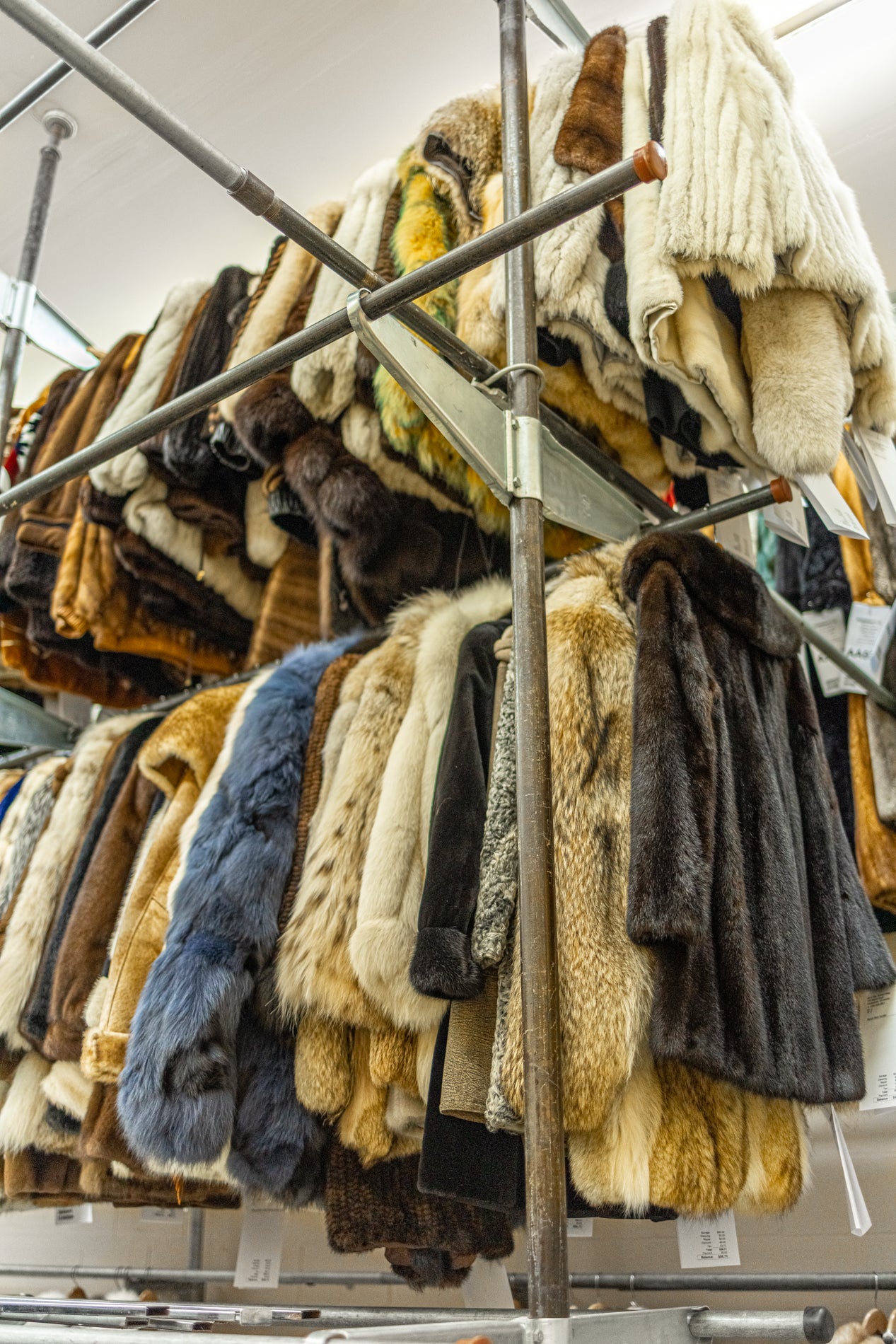 Fur Cleaning & Storage Services - STORE YOUR FUR NOW THROUGH DECEMBER 2024