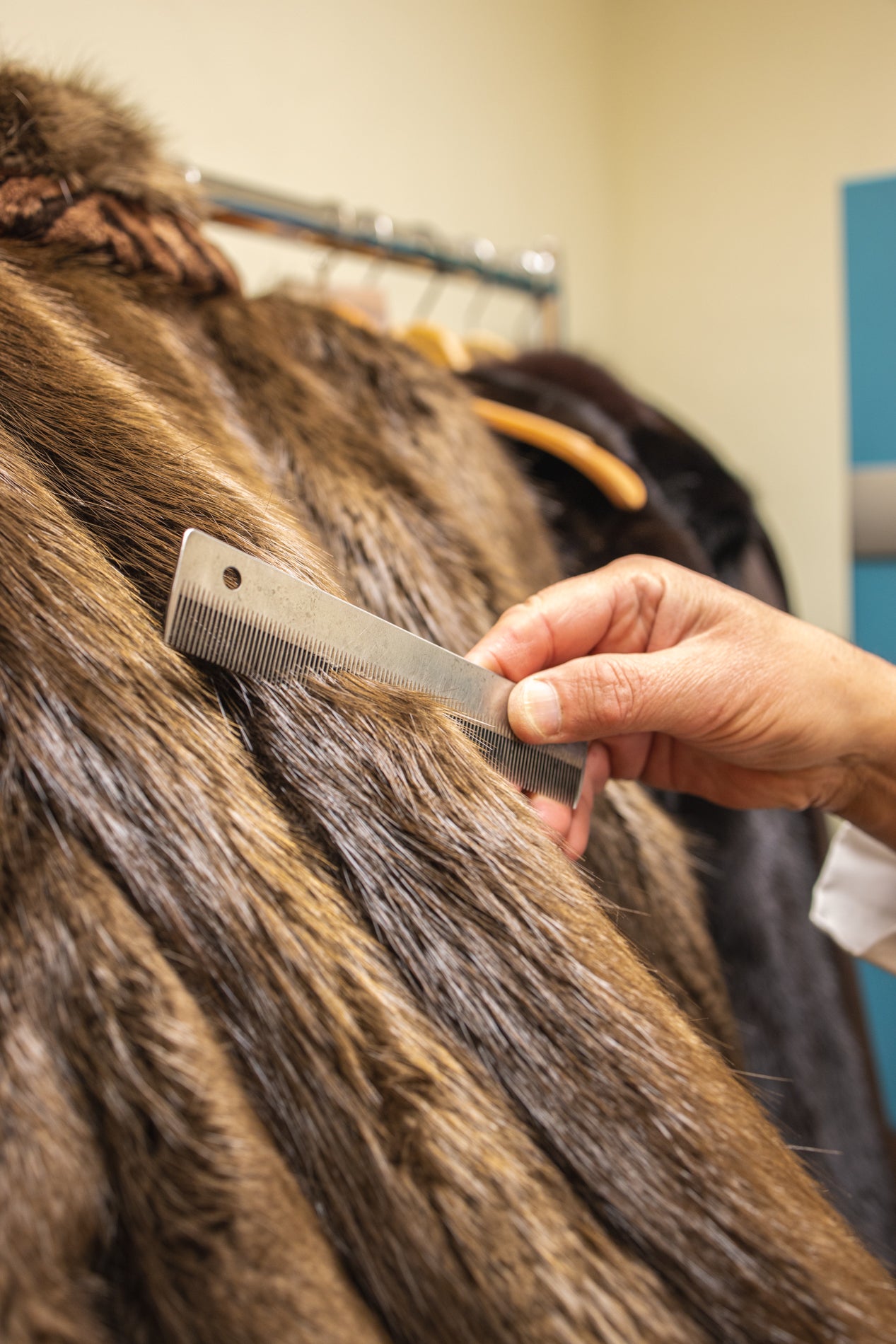 Fur Cleaning & Storage Services - STORE YOUR FUR NOW THROUGH DECEMBER 2024