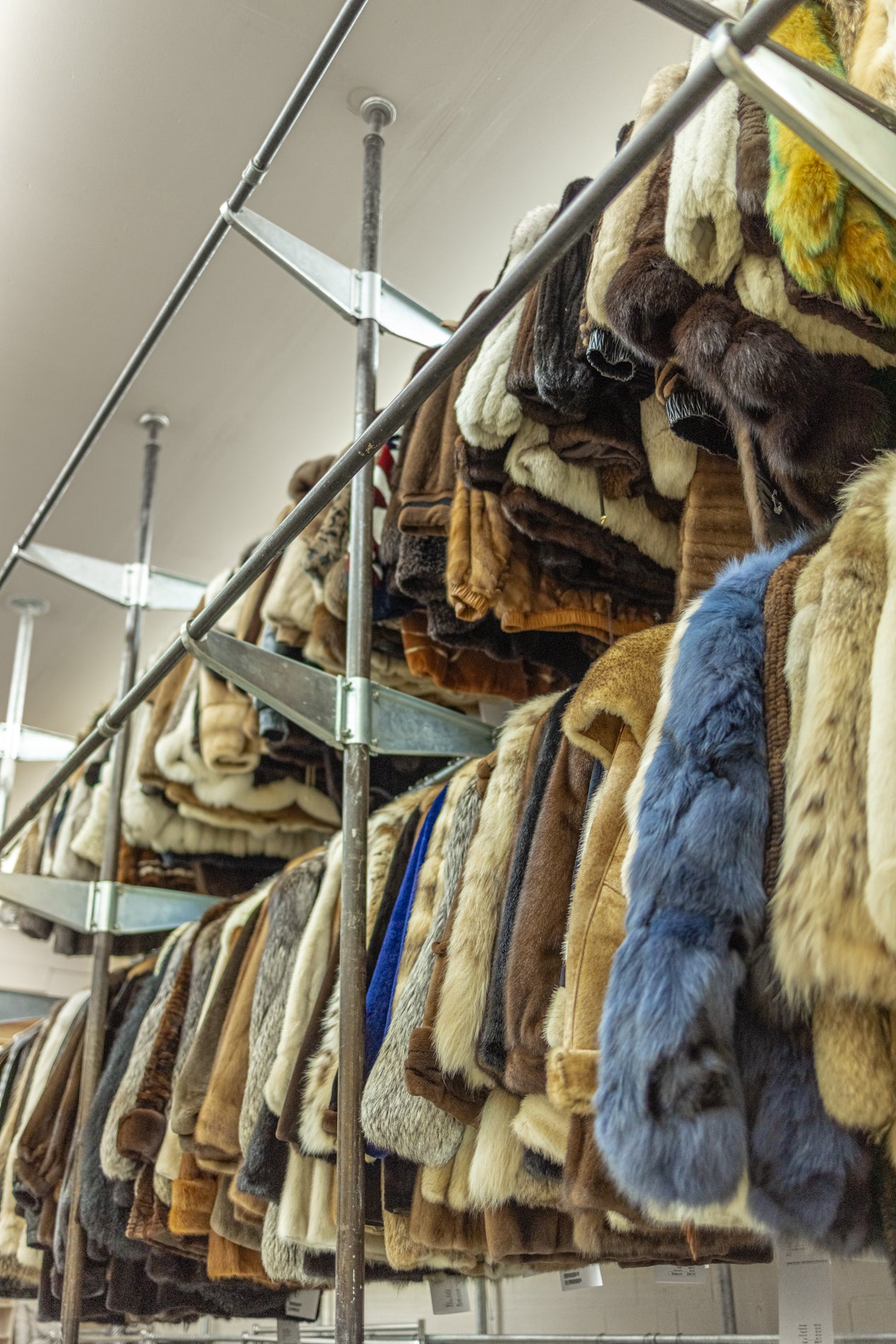 Fur Cleaning & Storage Services - STORE YOUR FUR NOW THROUGH DECEMBER 2024