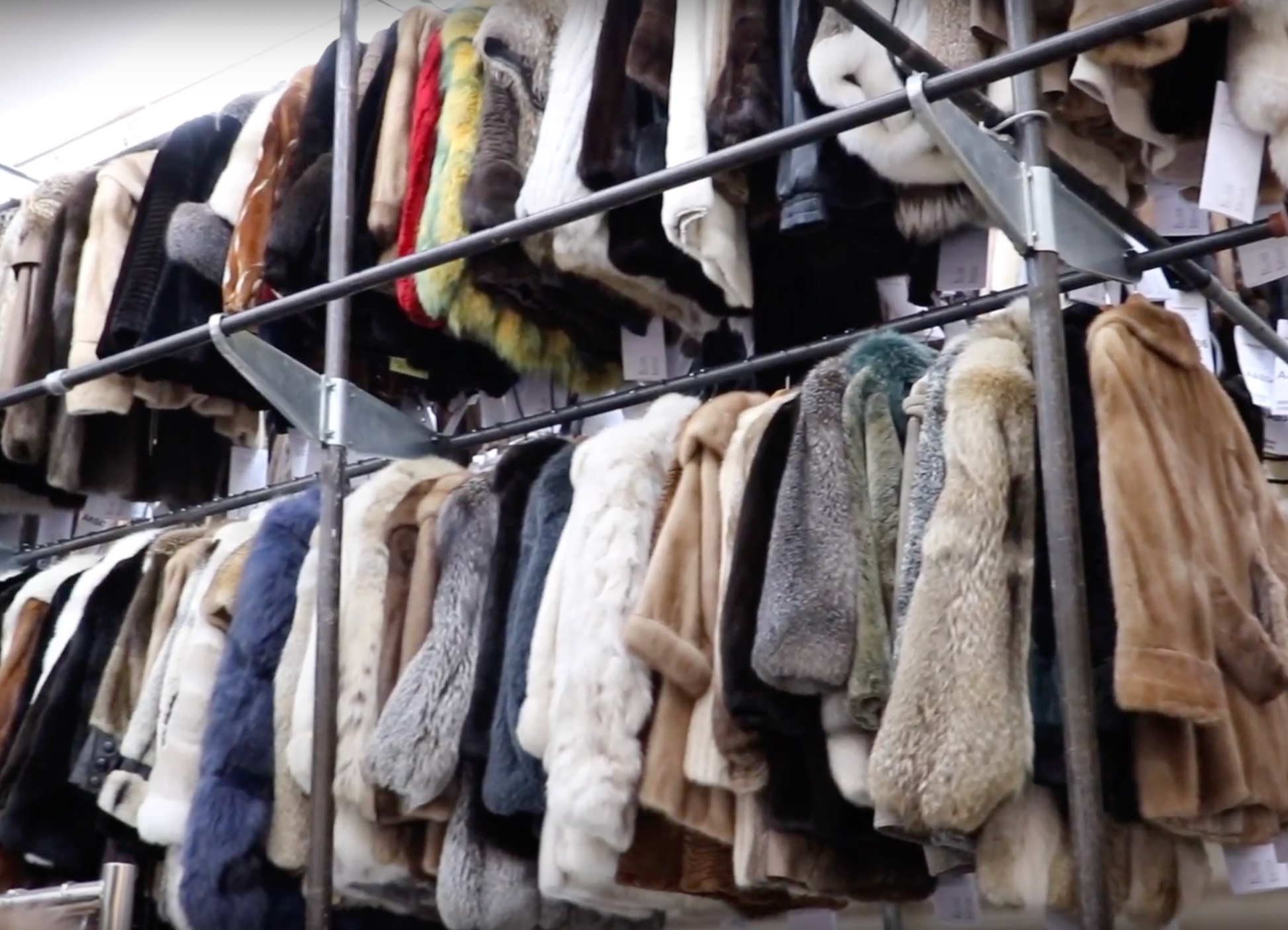 Fur coat 2025 cleaning near me